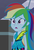 Size: 480x712 | Tagged: safe, screencap, rainbow dash, equestria girls, g4, cropped, female