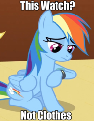 Size: 458x592 | Tagged: safe, edit, edited screencap, screencap, rainbow dash, pegasus, pony, g4, the saddle row review, too many pinkie pies, caption, female, image macro, mare, meme, not clothes, sitting, watch