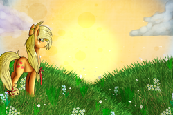 Size: 1500x1000 | Tagged: safe, artist:wolfchen999, applejack, g4, female, hatless, meadow, missing accessory, solo