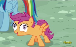 Size: 1102x685 | Tagged: safe, screencap, rainbow dash, scootaloo, g4, my little pony: friendship is magic, newbie dash, derp, derp face, exploitable meme, funny face, i didn't listen, image macro, meme, scootawhat, solo focus