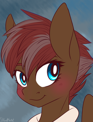 Size: 1300x1700 | Tagged: safe, artist:silbersternenlicht, oc, oc only, pony, bust, portrait, solo