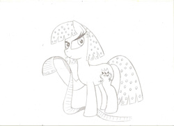 Size: 2338x1700 | Tagged: safe, artist:laurelcrown, oc, oc only, earth pony, pony, sketch, traditional art