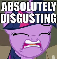 Size: 779x806 | Tagged: safe, edit, screencap, twilight sparkle, alicorn, pony, g4, the saddle row review, absolutely disgusting, disgusted, female, mare, meme, reaction image, solo, twilight sparkle (alicorn)