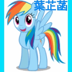 Size: 1024x1024 | Tagged: safe, rainbow dash, g4, chinese, female, low res image, solo