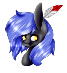 Size: 1750x1901 | Tagged: safe, artist:immagoddampony, oc, oc only, oc:cloudy night, solo