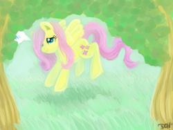 Size: 1600x1200 | Tagged: safe, artist:telimbo, fluttershy, g4, female, solo