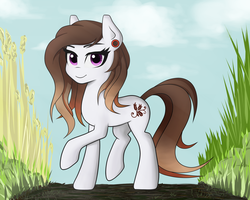 Size: 2500x2000 | Tagged: safe, artist:gullarcoo, oc, oc only, pony, high res, solo