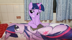 Size: 5312x2988 | Tagged: safe, artist:theparagon, twilight sparkle, alicorn, pony, g4, the saddle row review, body pillow, female, high res, irl, mare, photo, ponies in real life, smiling, smuglight sparkle, twilight sparkle (alicorn), ungrounded socket, vector