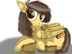 Size: 2250x1688 | Tagged: safe, artist:the1stmoyatia, wild fire, pony, g4, female, solo