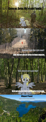 Size: 720x1900 | Tagged: safe, edit, derpy hooves, pegasus, pony, g4, female, hunting, mare, photo