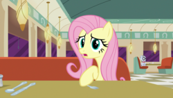 Size: 1920x1080 | Tagged: safe, screencap, fluttershy, mr. waddle, g4, the saddle row review, offscreen character, pov