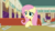 Size: 1920x1080 | Tagged: safe, screencap, fluttershy, mr. waddle, g4, my little pony: friendship is magic, the saddle row review, offscreen character, pov