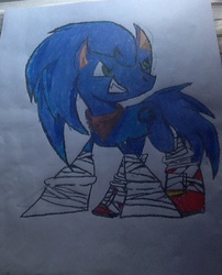 Size: 562x694 | Tagged: safe, artist:armando123321, male, ponified, sonic boom, sonic the hedgehog, sonic the hedgehog (series), traditional art