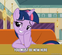 Size: 800x704 | Tagged: safe, edit, edited screencap, screencap, twilight sparkle, alicorn, pony, g4, the saddle row review, caption, condescending twilight, condescending wonka, diner, female, image macro, mare, meme, ponified meme, roald dahl, smuglight sparkle, solo, twilight sparkle (alicorn), willy wonka and the chocolate factory, you must be new here