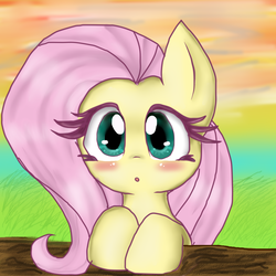 Size: 1400x1400 | Tagged: safe, artist:diamond--rose, fluttershy, g4, blushing, female, solo