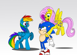 Size: 1024x728 | Tagged: safe, artist:gamemaster14, fluttershy, rainbow dash, g4, may the best pet win, carrying, crossover, find a pet, holding, male, parody, sonic the hedgehog, sonic the hedgehog (series)