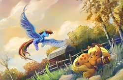 Size: 2000x1294 | Tagged: safe, artist:viwrastupr, applejack, rainbow dash, earth pony, pegasus, pony, g4, autumn, backwards cutie mark, barn, cider, duo, eyes closed, female, flying, grass, hat, large wings, mare, scenery, sleeping, smiling, spread wings, tree, wings