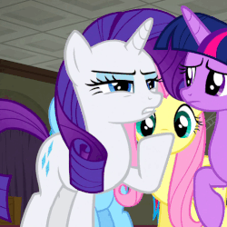 Size: 501x501 | Tagged: safe, screencap, fluttershy, rainbow dash, rarity, twilight sparkle, alicorn, pony, g4, the saddle row review, animated, female, mare, solo focus, talking, twilight sparkle (alicorn)