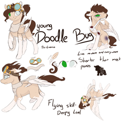 Size: 1024x1024 | Tagged: safe, artist:doodle-28, oc, oc only, oc:doodle bug, bandage, clothes, goggles, reference sheet, scarf, solo