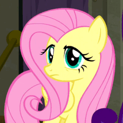 Size: 384x385 | Tagged: safe, screencap, fluttershy, rarity, g4, the saddle row review, animated, female, raised eyebrow, solo focus