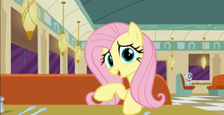 Size: 893x458 | Tagged: safe, screencap, fluttershy, mr. waddle, g4, the saddle row review, big eyes, female, solo