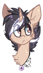 Size: 248x425 | Tagged: safe, artist:tay-niko-yanuciq, oc, oc only, bust, chest fluff, fluffy, portrait, simple background, solo, transparent background
