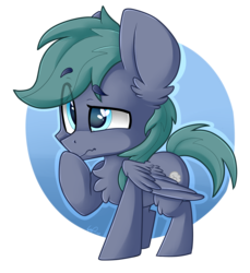 Size: 2749x3000 | Tagged: safe, artist:shyshyoctavia, oc, oc only, oc:stormy bluff, pegasus, pony, heart eyes, high res, solo, wingding eyes