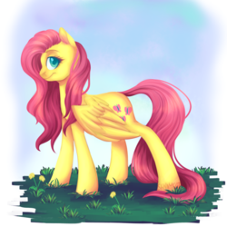 Size: 1024x1024 | Tagged: safe, artist:sannykat, fluttershy, pegasus, pony, g4, female, looking at you, mare, smiling, solo