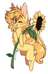 Size: 396x602 | Tagged: safe, artist:tay-niko-yanuciq, oc, oc only, alicorn, pony, alicorn oc, chest fluff, fluffy, simple background, solo, sunflower, transparent background