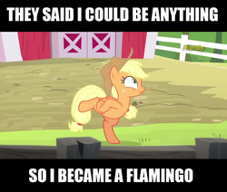 Size: 1278x1086 | Tagged: safe, edit, edited screencap, screencap, applejack, earth pony, pony, applejack's "day" off, g4, bipedal, caption, chicken dance, chickenjack, female, image macro, mare, meme, solo