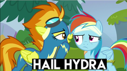 Size: 1279x719 | Tagged: safe, rainbow dash, spitfire, g4, hail hydra, image macro, less than five seconds in mspaint, meme