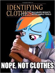 Size: 260x344 | Tagged: safe, rainbow dash, g4, the saddle row review, captain obvious, identifying wood, meme, not clothes, parody