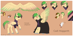 Size: 1024x512 | Tagged: safe, artist:orfartina, oc, oc only, oc:cadi hoggarth, reference sheet, solo