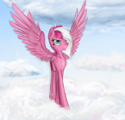Size: 2800x2700 | Tagged: safe, artist:paticzaki, oc, oc only, unnamed oc, pegasus, pony, cloud, high res, solo, spread wings
