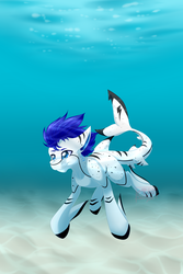 Size: 3000x4500 | Tagged: safe, artist:pinktabico, oc, oc only, unnamed oc, original species, shark pony, commission, high res, ocean, solo, swimming, underwater