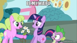 Size: 800x449 | Tagged: safe, edit, edited screencap, screencap, daisy, flower wishes, spike, twilight sparkle, g4, season 1, the ticket master, flower, image macro, makeameme.org, meme, roots, waifu