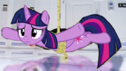 Size: 640x360 | Tagged: safe, edit, screencap, twilight sparkle, alicorn, pony, applejack's "day" off, g4, mission impossible, rope, suspended, that was fast, twilight sparkle (alicorn)