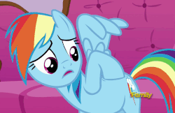 Size: 739x480 | Tagged: safe, screencap, rainbow dash, pegasus, pony, applejack's "day" off, g4, animated, discovery family logo, female, looking back, loop, mare, rubbing, solo