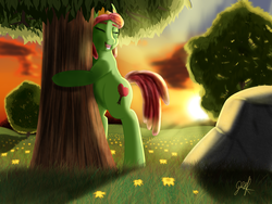 Size: 3000x2250 | Tagged: safe, artist:rtg2100, tree hugger, pony, g4, female, high res, hug, literal, solo, sunset, tree, tree hugger hugging a tree