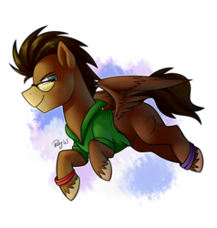 Size: 1900x2000 | Tagged: safe, artist:rubywave32, oc, oc only, oc:bumper, pegasus, pony, clothes, shirt, simple background, solo, transparent background