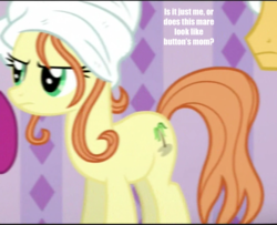 Size: 1333x1085 | Tagged: safe, edit, edited screencap, screencap, ocean dream, pony, applejack's "day" off, g4, caption, image macro, low quality, solo, text