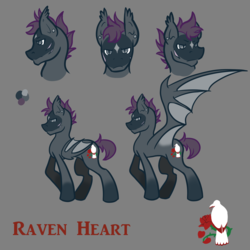 Size: 1800x1800 | Tagged: safe, artist:halfway-to-insanity, oc, oc only, oc:raven heart, bat pony, pony, ear piercing, flower, markings, piercing, reference sheet, rose, scar, solo