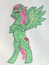 Size: 480x640 | Tagged: artist needed, safe, oc, oc only, oc:maya heartstrings, pegasus, pony, dreadlocks, smiling, solo, standing, traditional art, wings