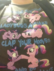 Size: 720x960 | Tagged: safe, princess cadance, twilight sparkle, g4, clothes, merchandise, shirt, song reference