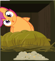 Size: 1101x1213 | Tagged: safe, artist:2014mlpannon, edit, scootaloo, chicken, applejack's "day" off, g4, :p, animated, cute, cutealoo, female, hen, loop, scootachicken, silly, solo, tongue out