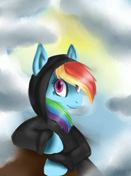 Size: 1024x1373 | Tagged: safe, artist:stanfel, rainbow dash, pony, g4, clothes, female, hoodie, looking at you, solo
