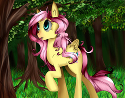 Size: 1024x800 | Tagged: safe, artist:stanfel, fluttershy, pony, g4, female, forest, raised hoof, solo