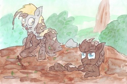 Size: 4677x3106 | Tagged: artist needed, source needed, safe, derpy hooves, doctor whooves, time turner, pegasus, pony, g4, dirty, everfree forest, female, high res, male, mare, messy, mud, mud bath, muddy, plant, playing, ship:doctorderpy, shipping, straight, traditional art, watercolor painting