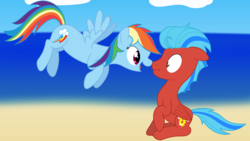 Size: 3840x2160 | Tagged: safe, artist:waveywaves, rainbow dash, oc, pony, g4, beach, duo, high res