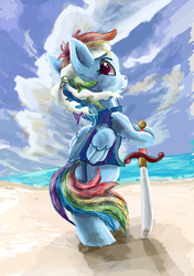 Size: 2759x3914 | Tagged: safe, artist:owlvortex, rainbow dash, pony, g4, beach, bipedal, clothes, female, headband, looking back, pirate, pirate dash, solo, sword, weapon